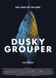 Dusky Grouper _The Lord of -poster Dusky Grouper _The Lord of -poster