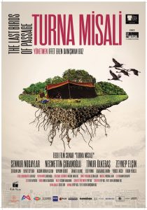Turna misali