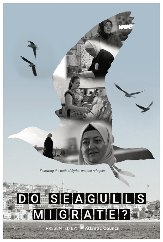 Do Seagulls Migrate-Poster
