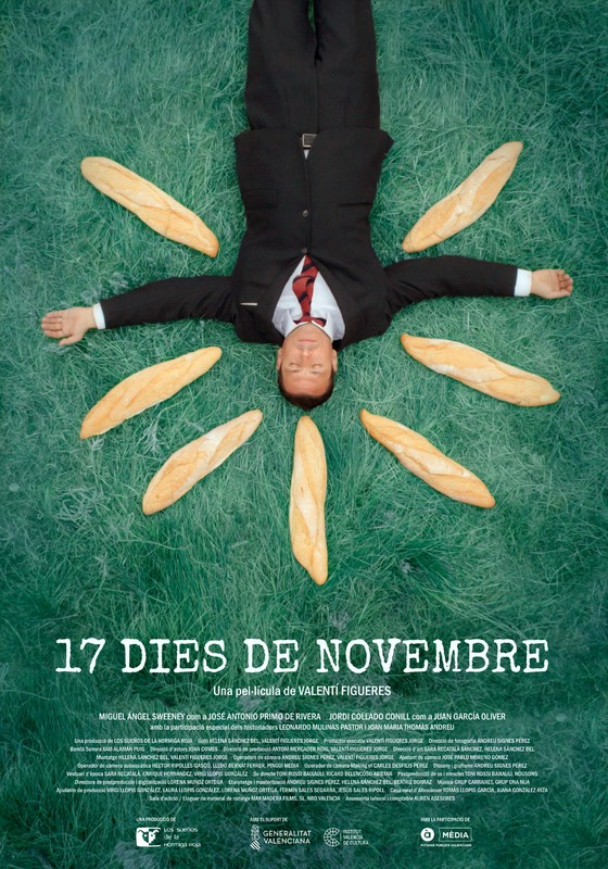 17 Days of November-poster