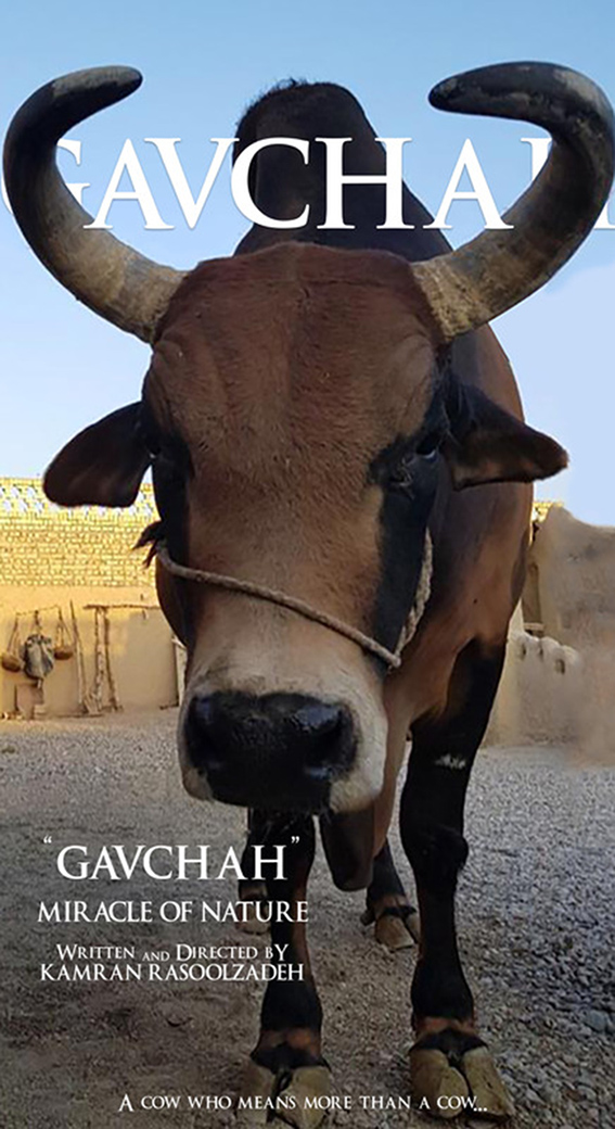 Gavchah -poster