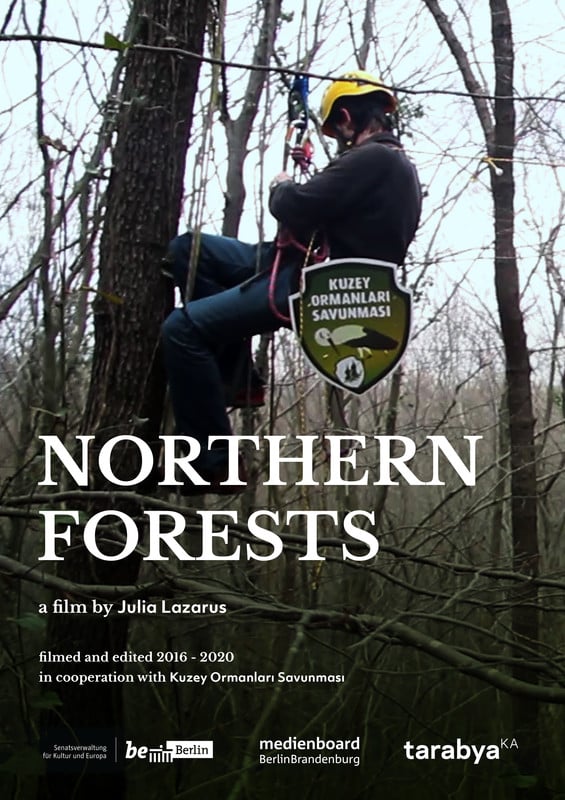 Northern Forests-poster