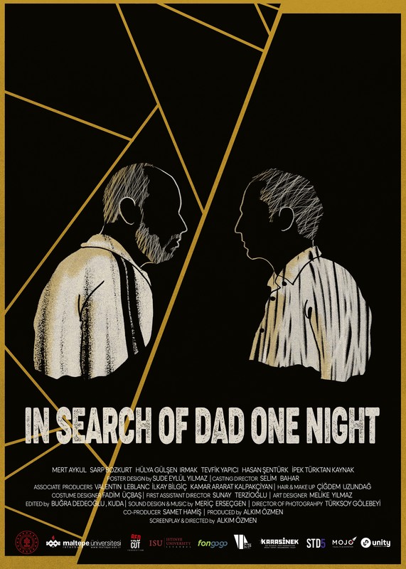 in Search of Dad One Night-poster
